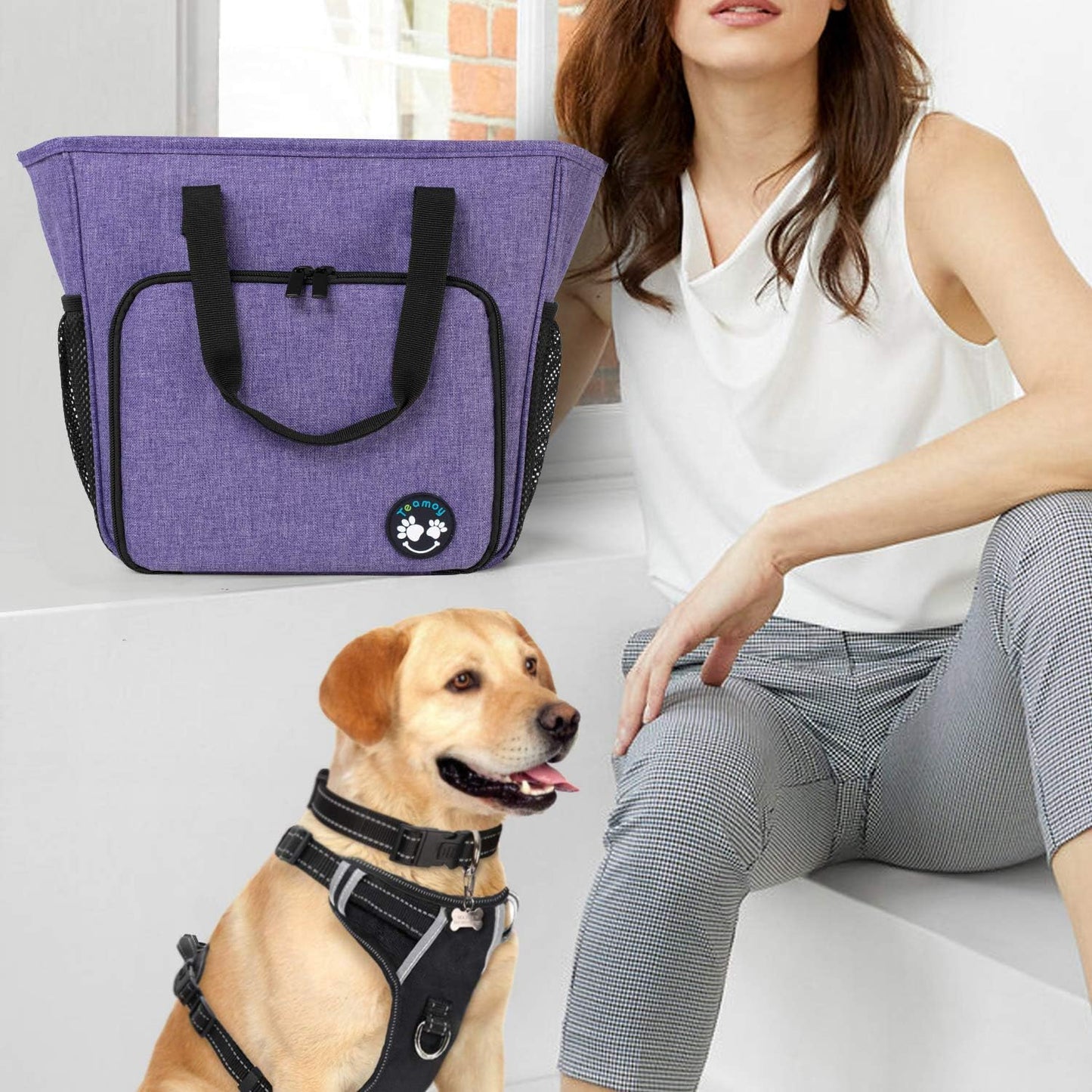Pet Grooming Tote, Dog Grooming Supplies Organizer Bag for Grooming Shears, Deshedding Tool, Towels, Shampoo and More, Purple