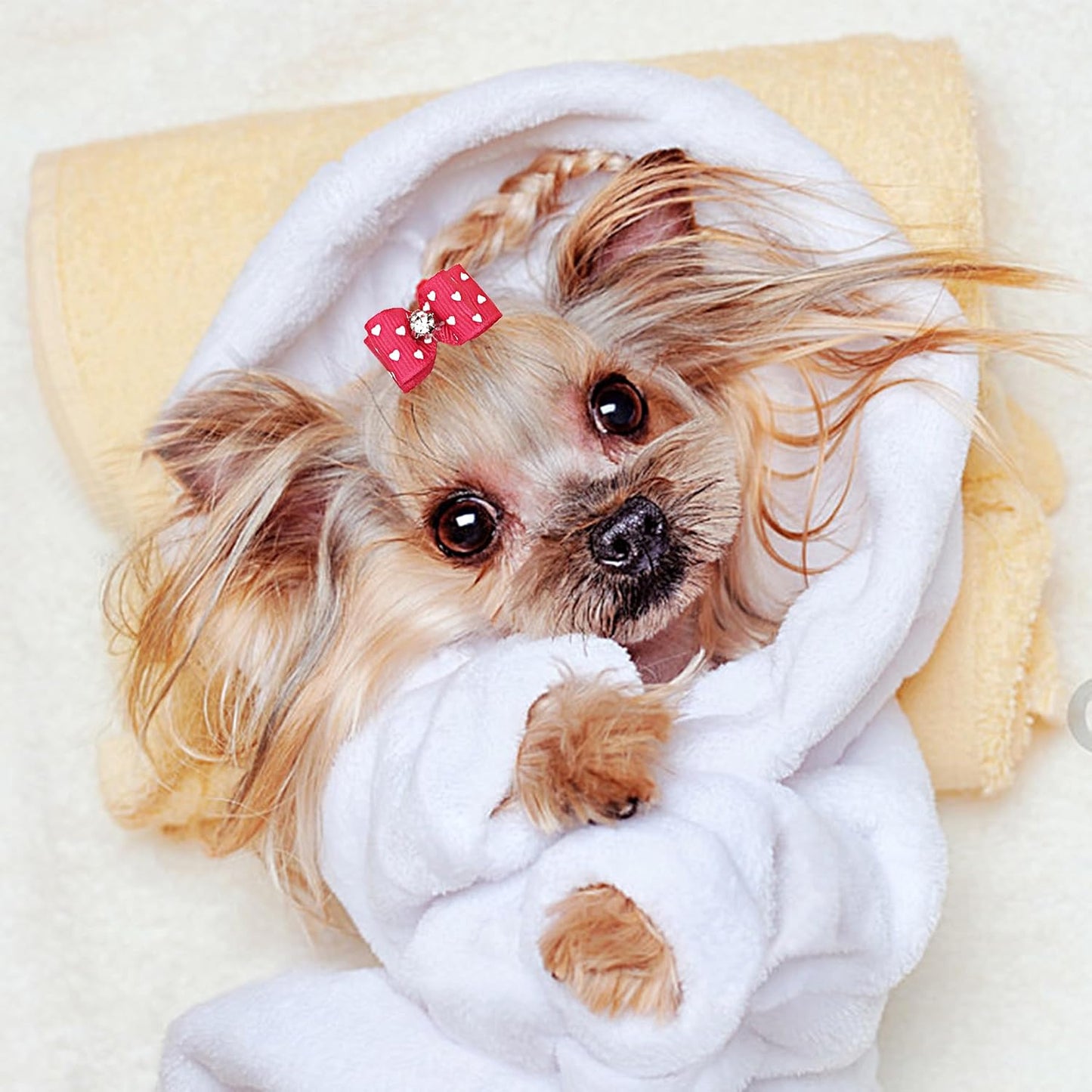 50Pcs Small Dog Hair Bows with Rubber Bands for Medium Dogs Puppies Cats Kittens Rabbits Topknot Grooming Costumes Hair Accessories