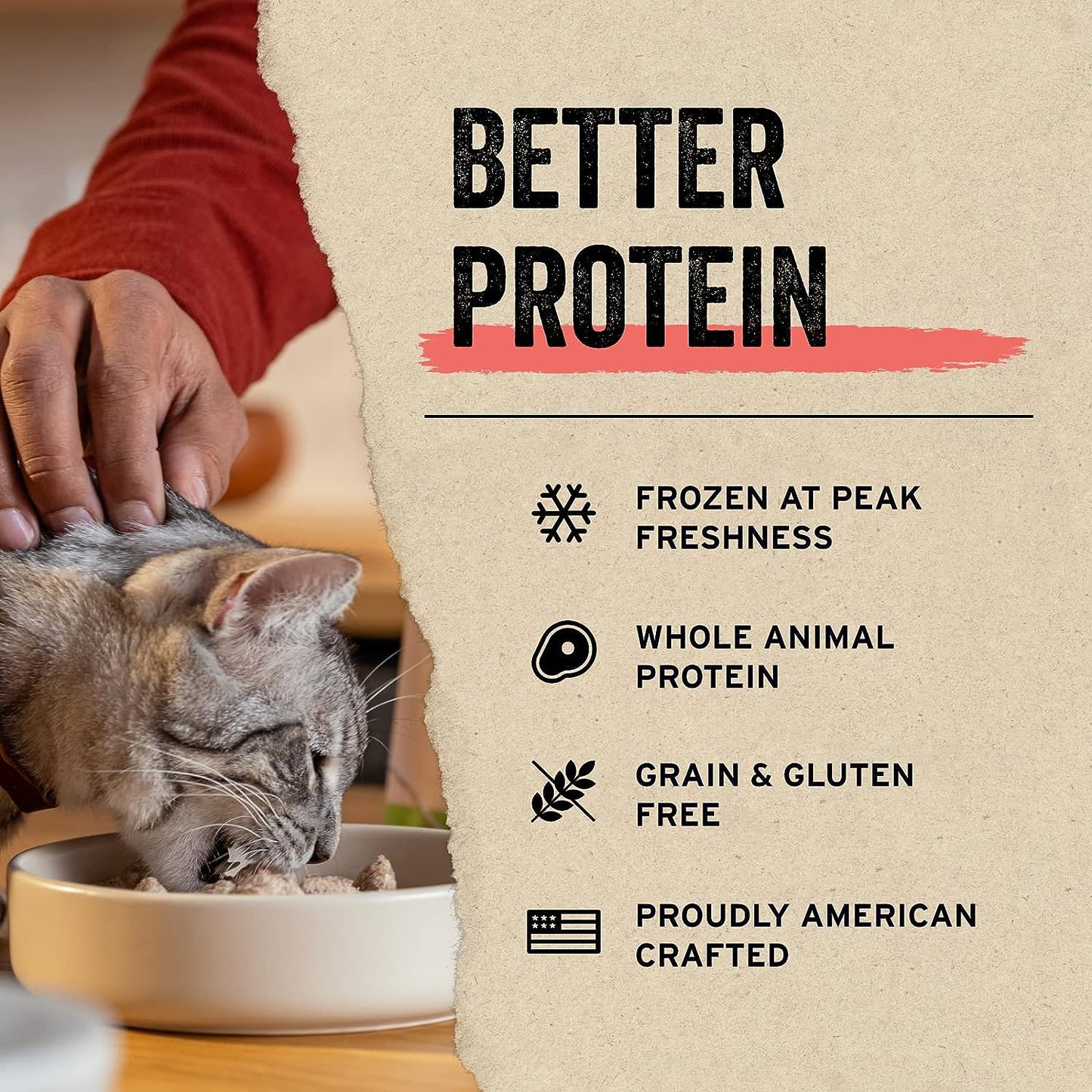 Freeze Dried Raw Cat Treats, Minnows Treats, 0.5 Oz