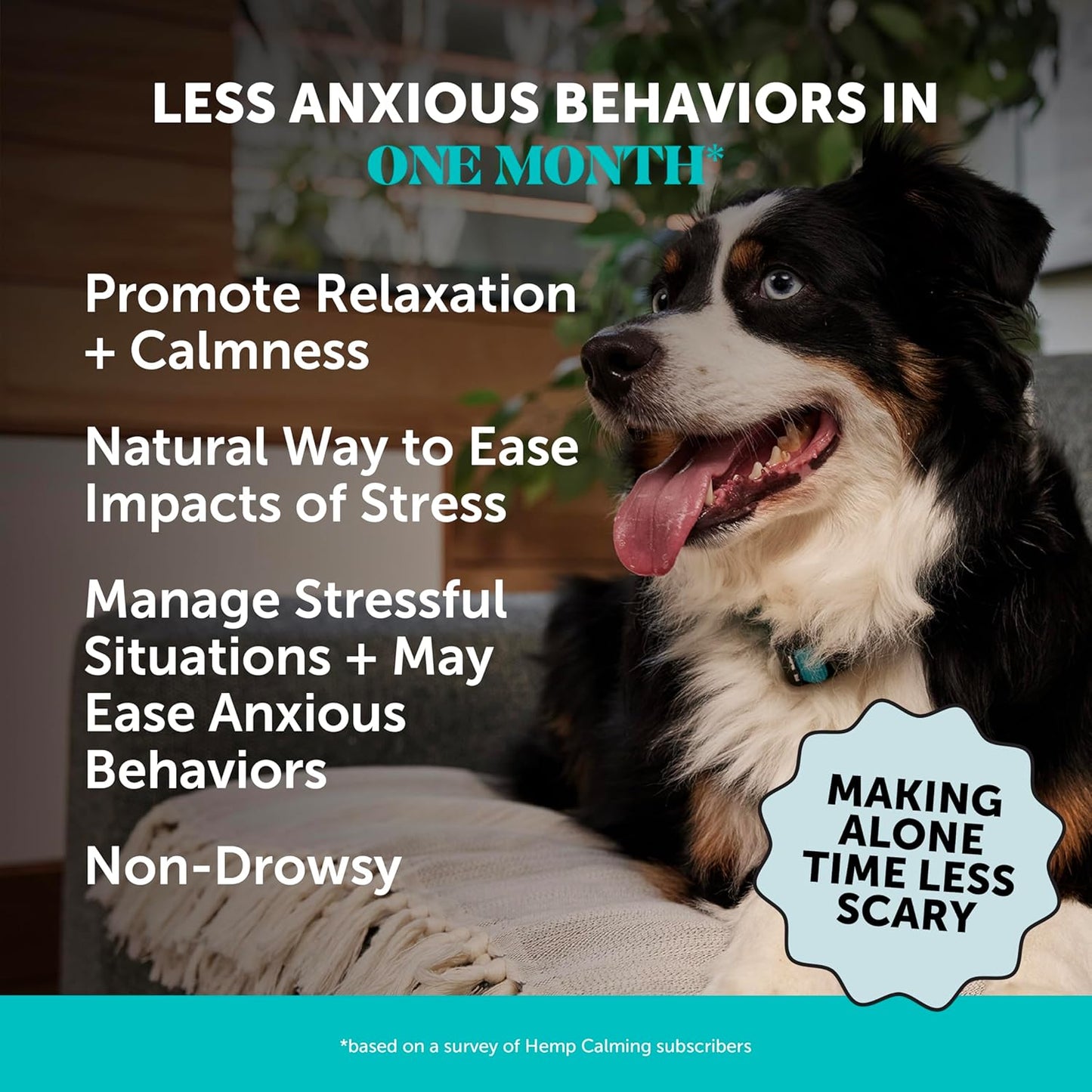 Natural Hemp Calming Chews for Dogs - Dog Anxiety Relief - Calming Aid Supplement with Valerian Root, Chamomile, + Magnesium - Stress, Separation & Thunder Support - (Chicken, 90 Count)