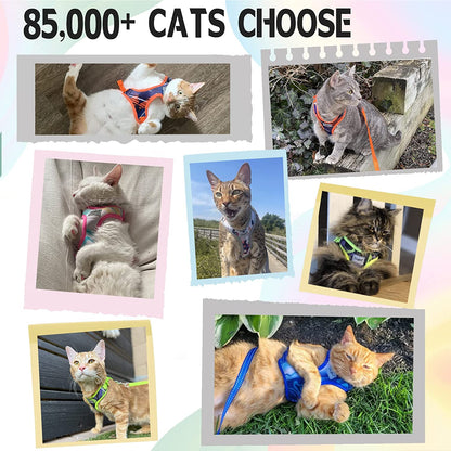 Cat Harness and Leash Set Stylish Escape Proof Cat Vest Harness Adjustable Breathable Pet Harness with Reflective Trim Step-In Cat Leash and Harness for Cats Puppies S（Chest:9.6-15.7'' Black