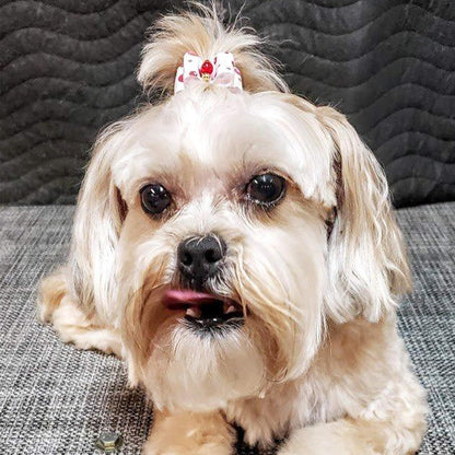 50Pcs Small Dog Hair Bows with Rubber Bands for Medium Dogs Puppies Cats Kittens Rabbits Topknot Grooming Costumes Hair Accessories