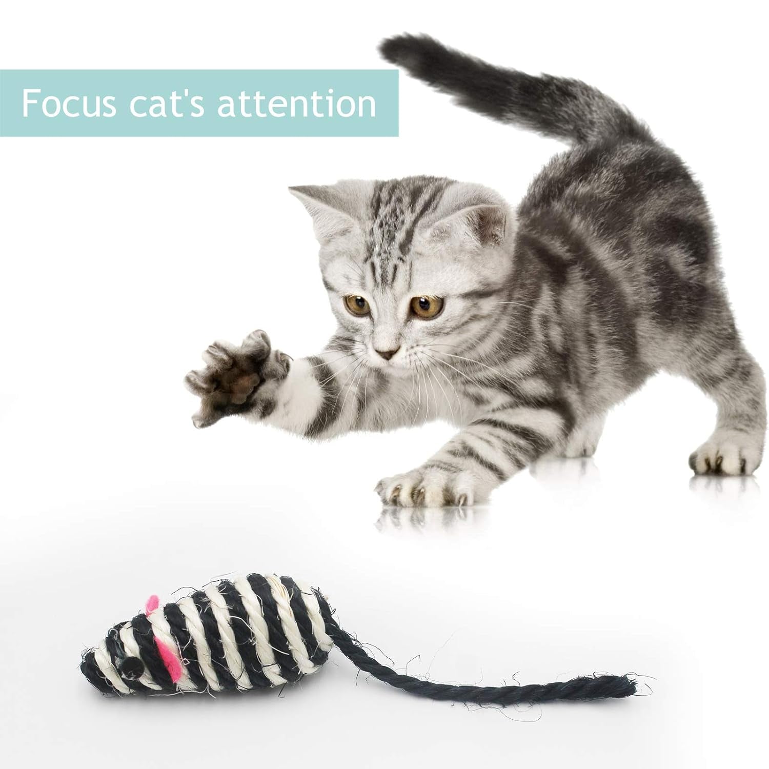 Pet Grooming Brush, Self-Cleaning Brush for Removes Tangles, and Loose Hair, Pet Brush with Release Button, Shedding Brush for Long and Short Haired Cats(Sapphire)