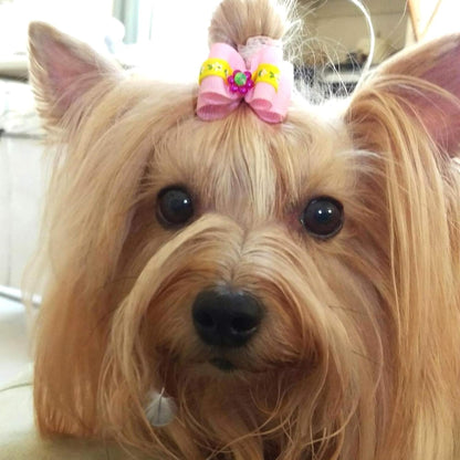 50Pcs Small Dog Hair Bows with Rubber Bands for Medium Dogs Puppies Cats Kittens Rabbits Topknot Grooming Costumes Hair Accessories