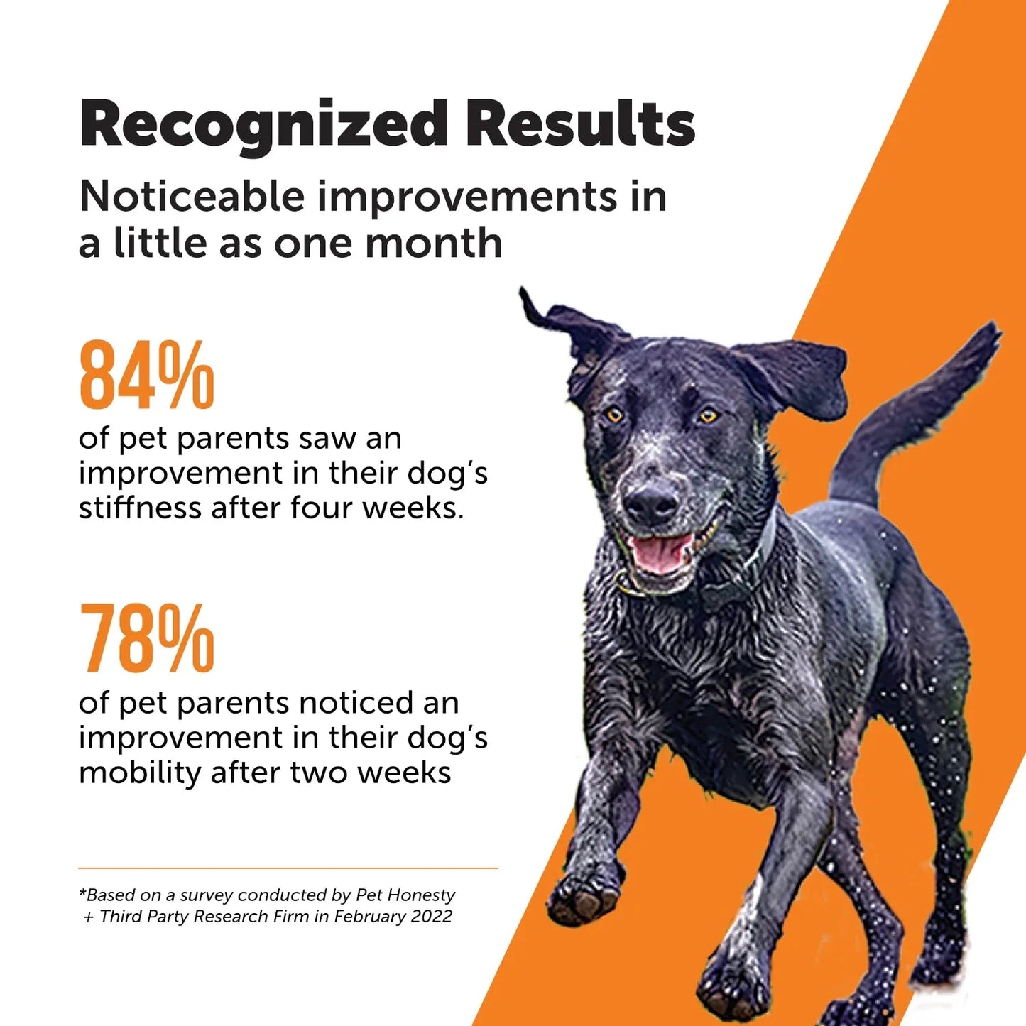 Pet Honesty Dog Hip + Joint Health Max Strength, Bacon Flavor, 90 Count Soft Chews