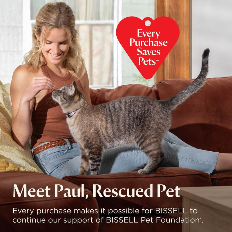 Little Green® Mini Portable Carpet & Upholstery Cleaner