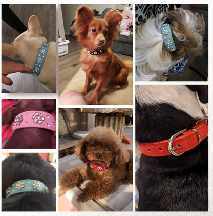 Rhinestone Flower Dog Collar - Sparkling Leather Pet Collar - for Small and Medium Dogs (Pink S)