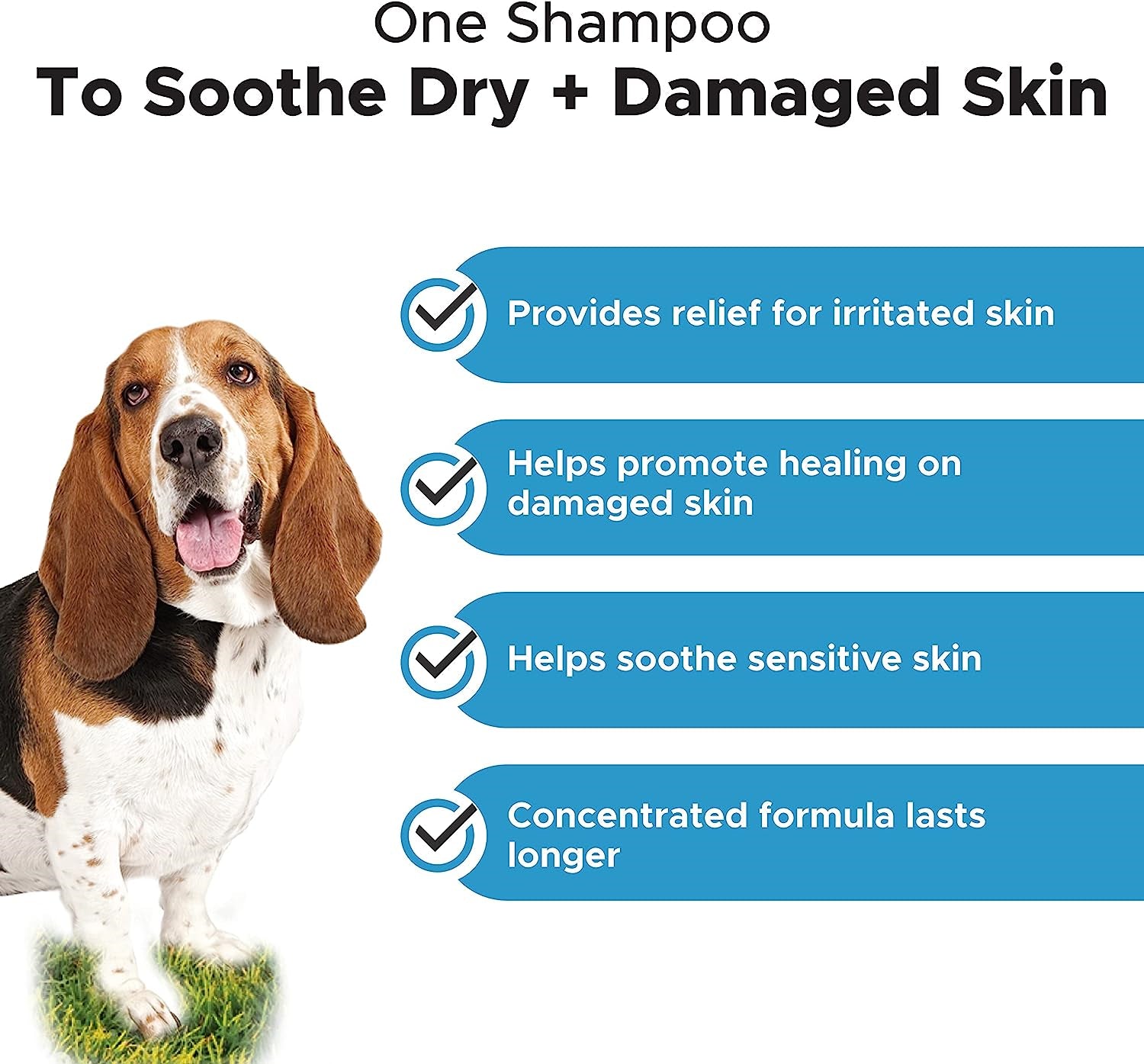 Pet Honesty Chlorhexidine Shampoo - Ketoconazole & Aloe for Dogs & Cats - Helps