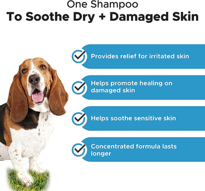 Pet Honesty Chlorhexidine Shampoo - Ketoconazole & Aloe for Dogs & Cats - Helps