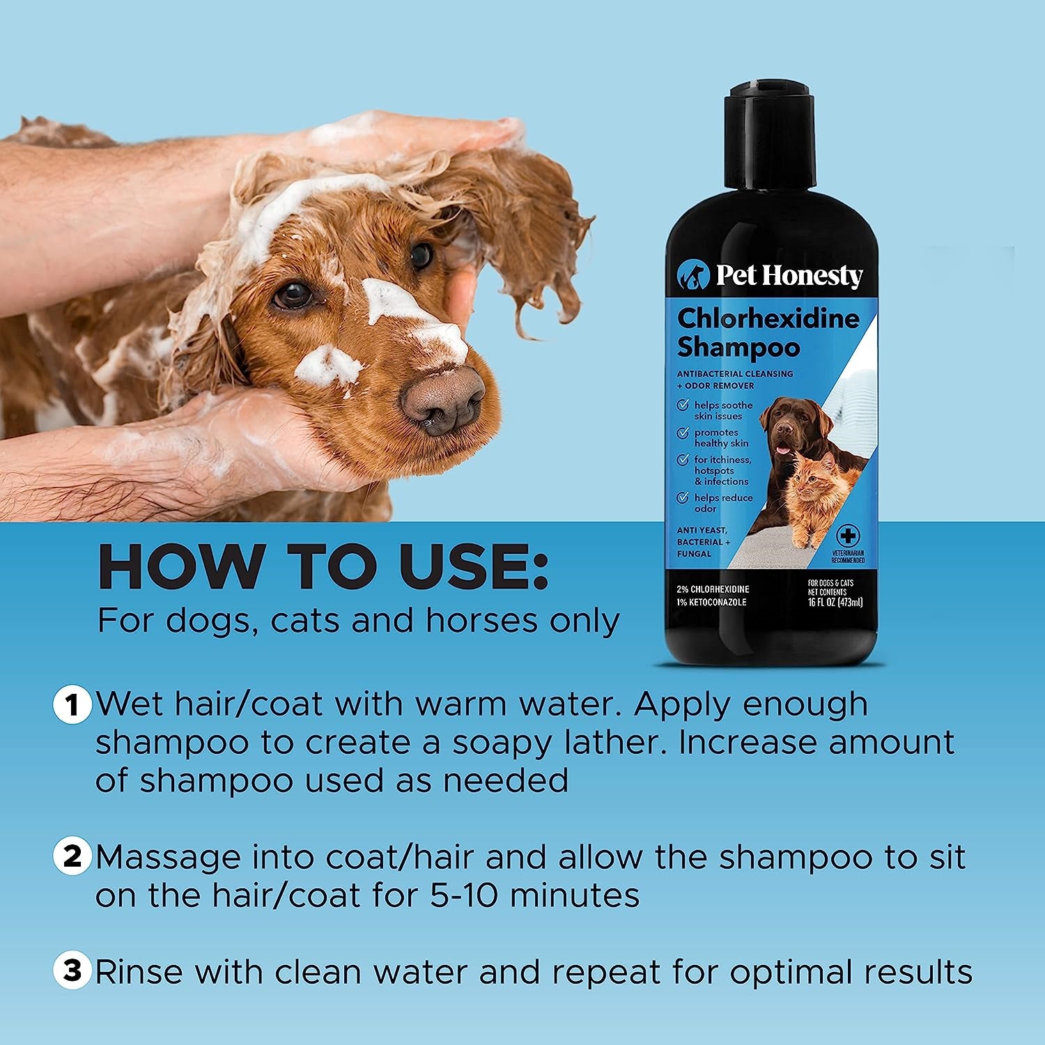 Pet Honesty Chlorhexidine Shampoo - Ketoconazole & Aloe for Dogs & Cats - Helps