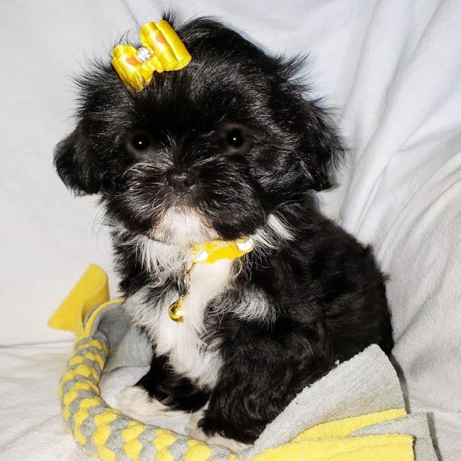 50Pcs Small Dog Hair Bows with Rubber Bands for Medium Dogs Puppies Cats Kittens Rabbits Topknot Grooming Costumes Hair Accessories