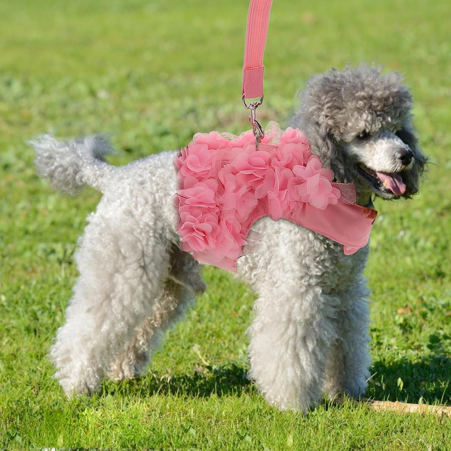 Floral Stereo Traction Rope Dogs Cats Breathable Spring Pet Leash Size Soft Mesh Vest Walking Running