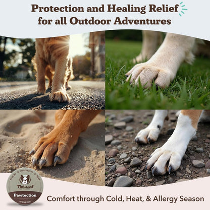 Pawtection Balm for Dogs, Dog Paw Protector, Moisturizing Dog Paw Balm for Dry, Cracked Pad, Protects Paw from Extreme Weather, Paw Lotion for Allergies & Itching (1 Oz Tin)