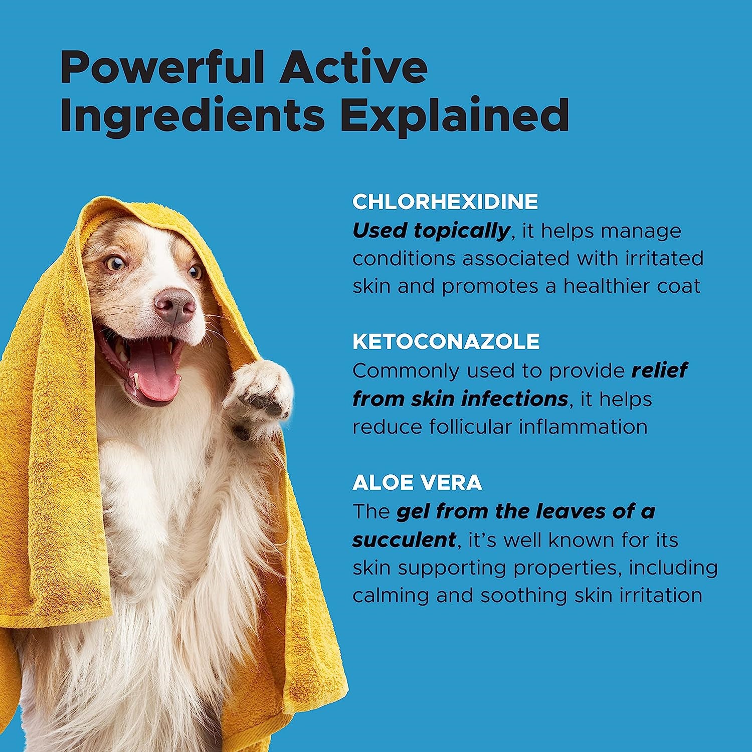 Pet Honesty Chlorhexidine Shampoo - Ketoconazole & Aloe for Dogs & Cats - Helps