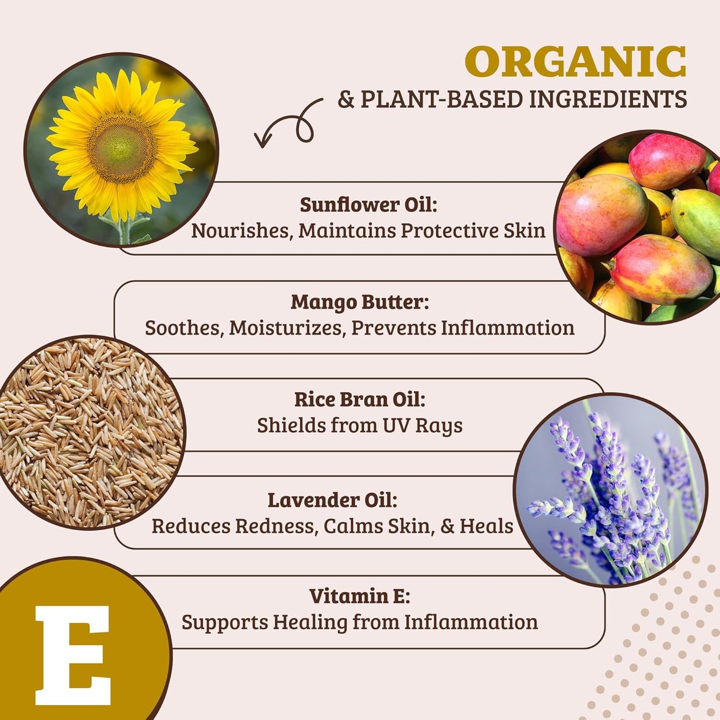 Pawtection Balm for Dogs, Dog Paw Protector, Moisturizing Dog Paw Balm for Dry, Cracked Pad, Protects Paw from Extreme Weather, Paw Lotion for Allergies & Itching (1 Oz Tin)